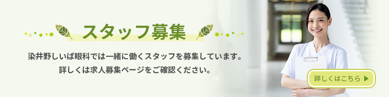 スタッフ募集