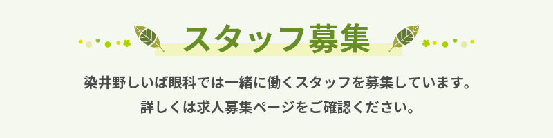 スタッフ募集